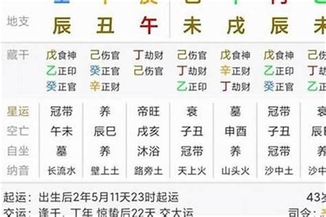 八字傷官意思